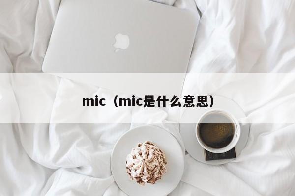 mic（mic是什么意思）