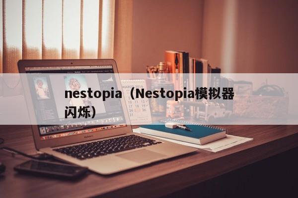nestopia（Nestopia模拟器闪烁）