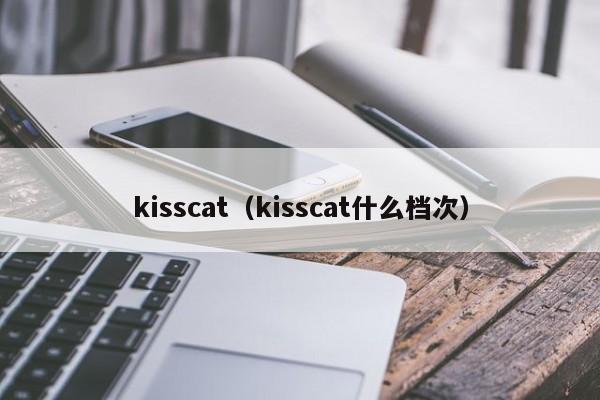kisscat（kisscat什么档次）