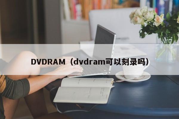 DVDRAM（dvdram可以刻录吗）