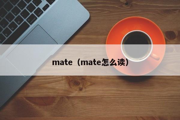 mate（mate怎么读）